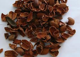 40 LB BAG OF PECAN SHELLS
